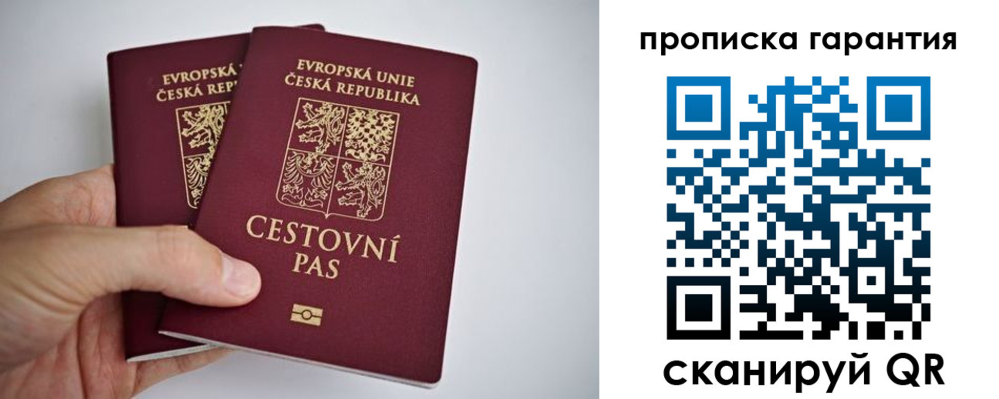 прописка в Данкове